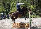 Pferd International 055